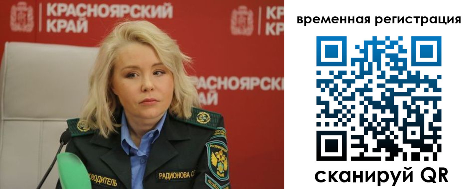 прописка поиск в Ногинске
