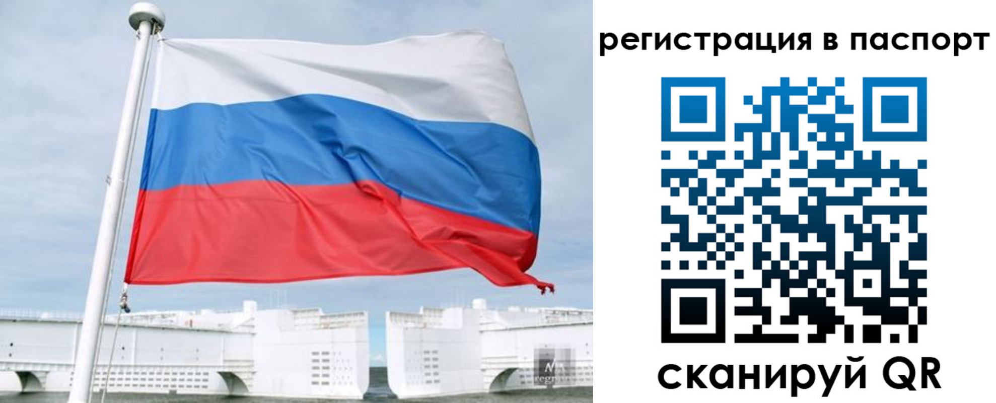 регистрация в Ногинске